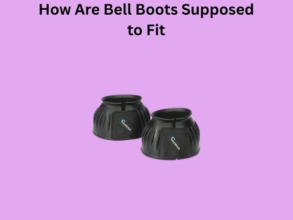How Are Bell Boots Supposed to Fit